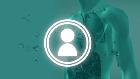 animación del icono de perfil iluminado con nucleótidos y sección media del cuerpo humano con órganos