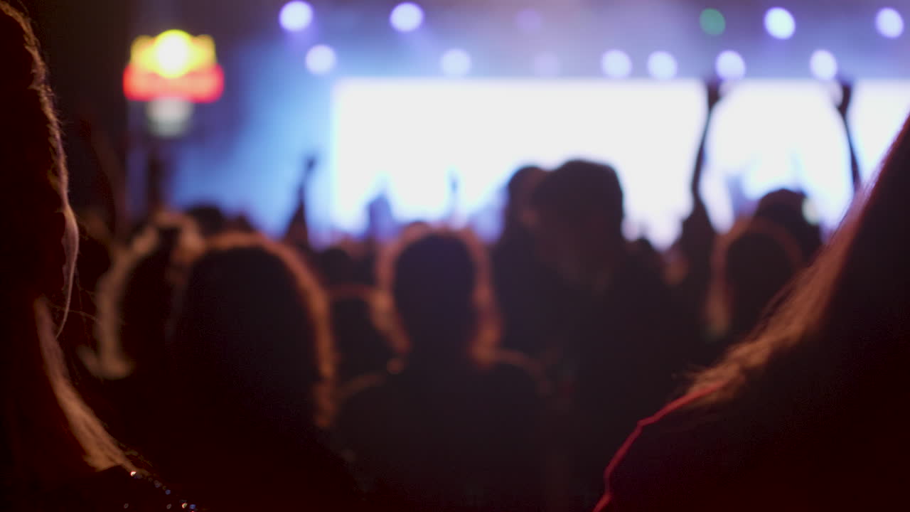 Una folla energica ad un concerto di musica dal vivo
