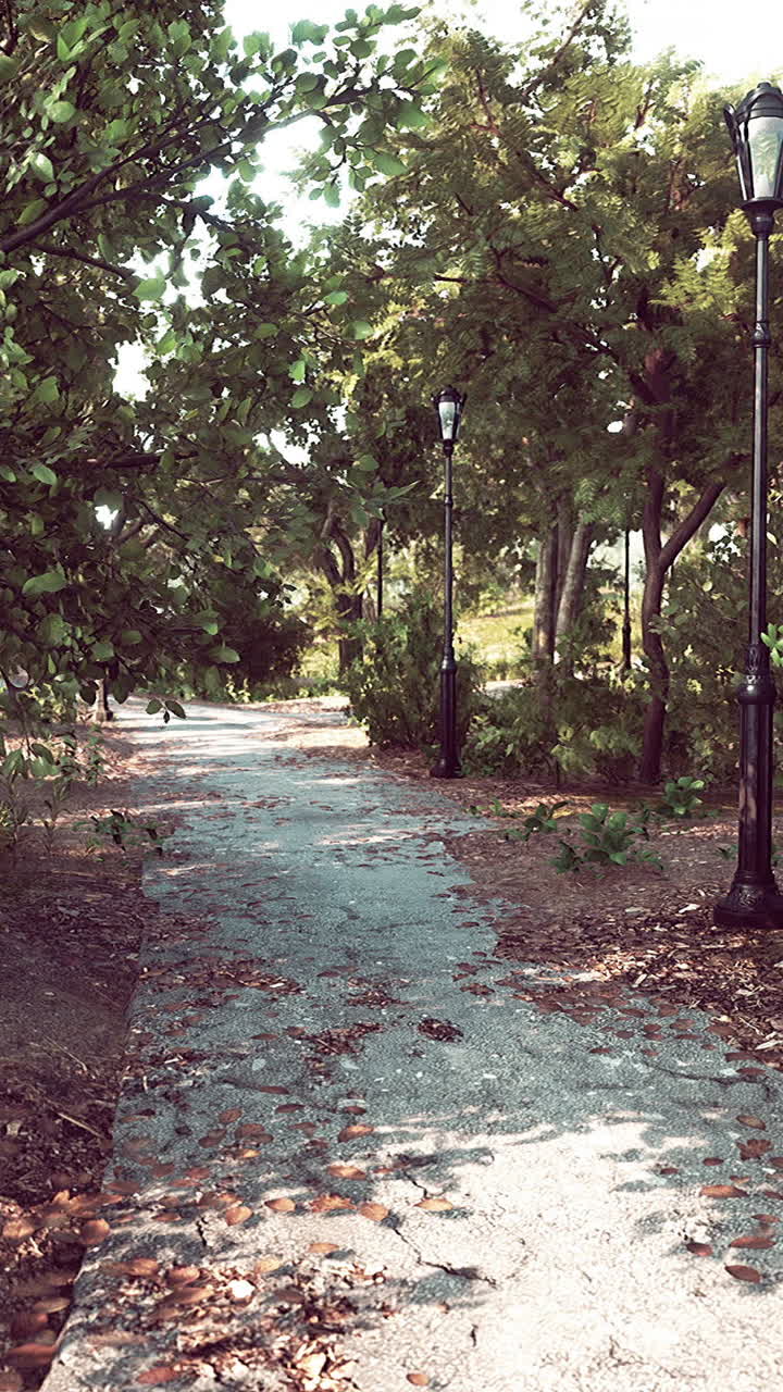 Sentiero in un parco con alberi su entrambi i lati