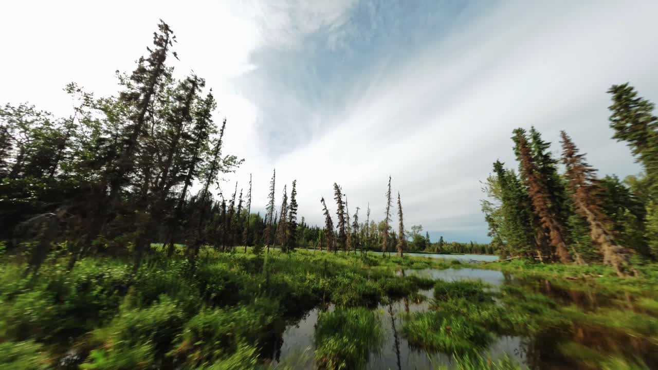 беспилотный летательный аппарат пролетает через пышные зеленые болота аляски, чтобы показать группу рыбаков, ловящих лосося, на берегу девственной бирюзово-голубой реки