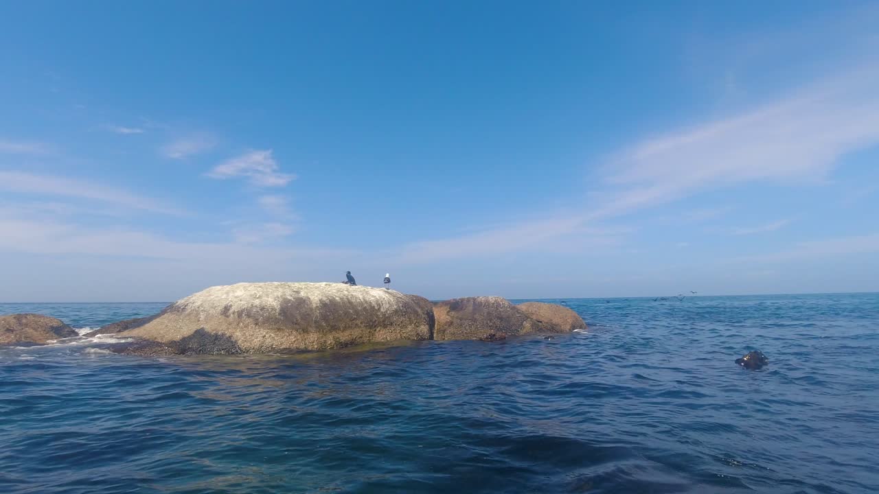 바다 한가운데 있는 바위 위에 새가 앉아 있다