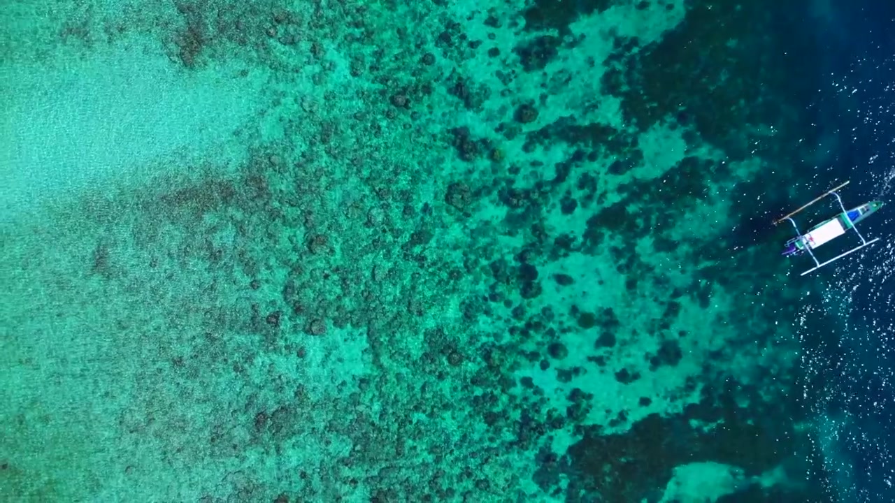 Havssköldpadda som simmar graciöst i kristallklart turkost tropiskt havsvatten, med korallrev och sandstrand. Strålande flygvy med drönare, uppifrån och ner