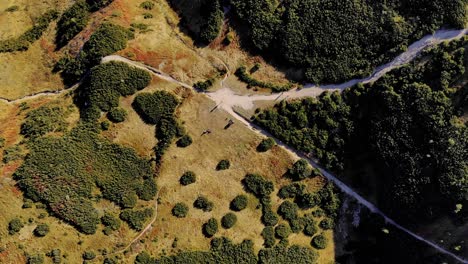 clip aéreo de drones de 4k de la cordillera de tatra en la frontera de eslovaquia en un entorno natural visto desde arriba