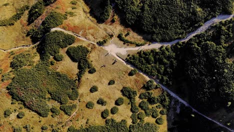 4k aerial drone clip of the tatra´s mountain range on the border of slovakia in a natural environment seen from above