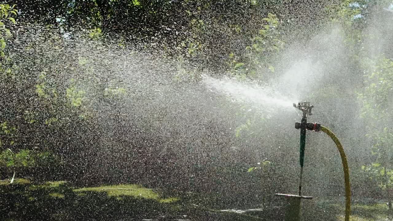 Automatic sprinkler system watering the lawn, close-up. Garden grass irrigation.