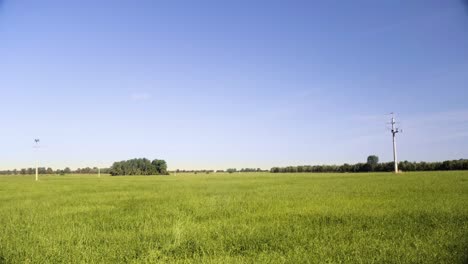 green field during sunny summer day with blue sky and energy pole in 4k-2