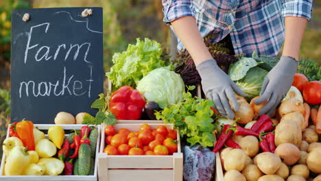 the seller at the farmers market lays out vegetables on the counter