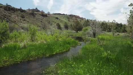 narrow stream flowing through a field with green grass in willow creek, southeast oregon, united states - wide