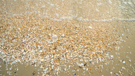 beautiful beach with waves reaching the shore of a white sand beach on a tropical during a sunset