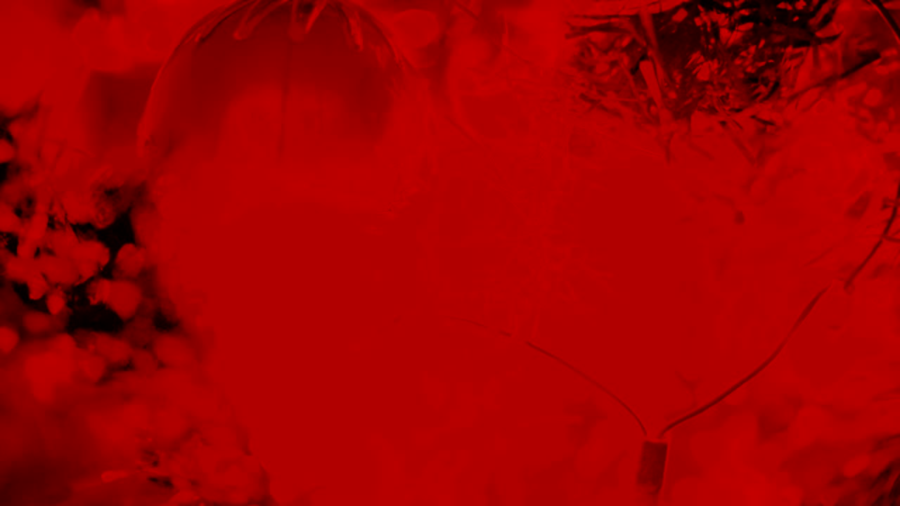 크리스마스 트리 및 크리스마스 조명, 메리 크리스마스 및 행복한 휴일, 장식 된 크리스마스 나무