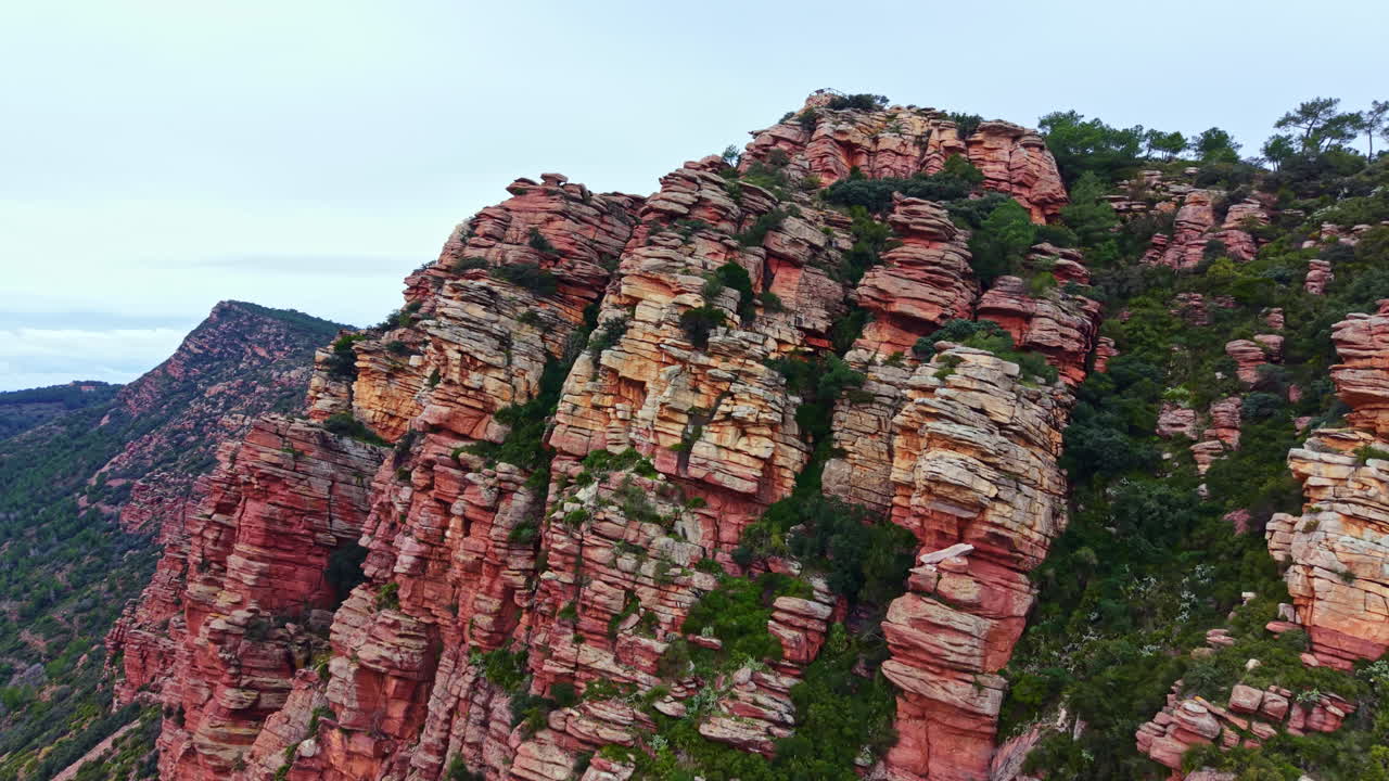 Explore the red rock formations and lush greenery of a scenic landscape in Sedona, Arizona, during a cloudy day in early spring, capturing nature's unique beauty and textures