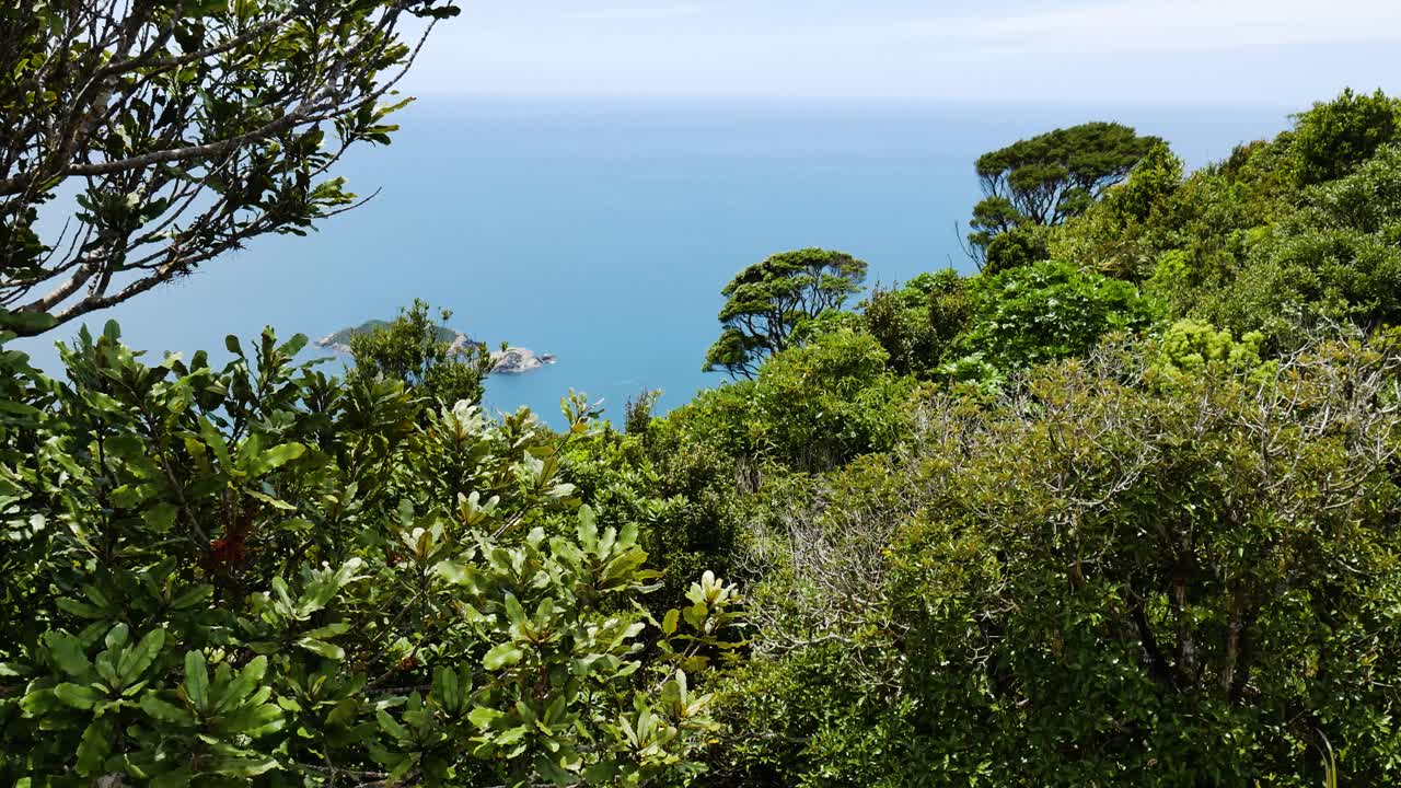 dense cliffside vegetation overlooking expansive ocean