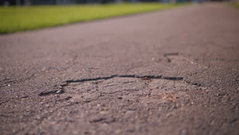 close-up of cracked asphalt road surface with scattered dry foliage, showing texture and weathered appearance in warm sunlight, rough, uneven pavement details with a blurred grassy background