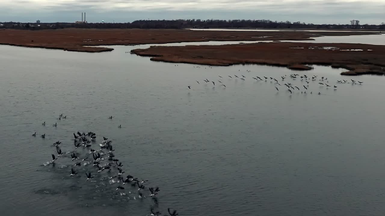un ángulo alto, vista aérea de una bandada de aves despegando de un pantano salado en cámara lenta