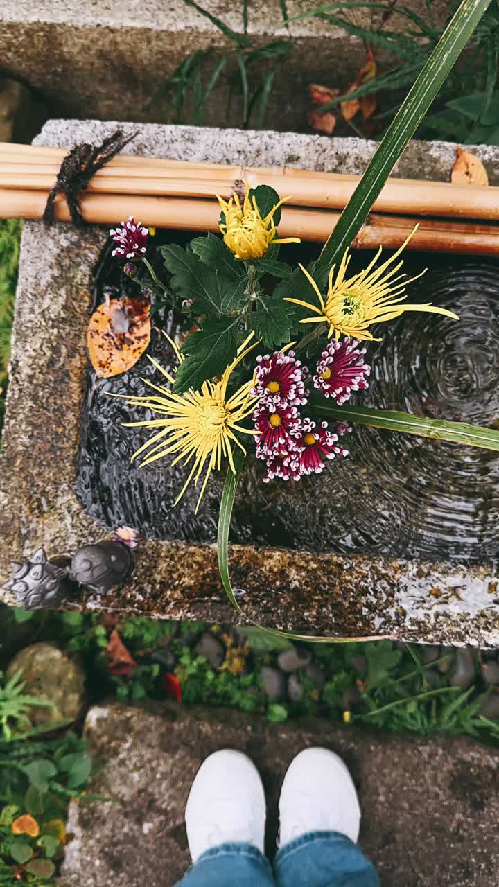 flores en un jardín japonés