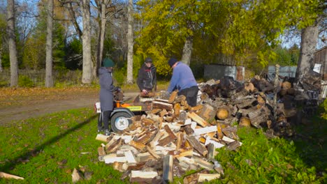 family chopping firewood for winter
