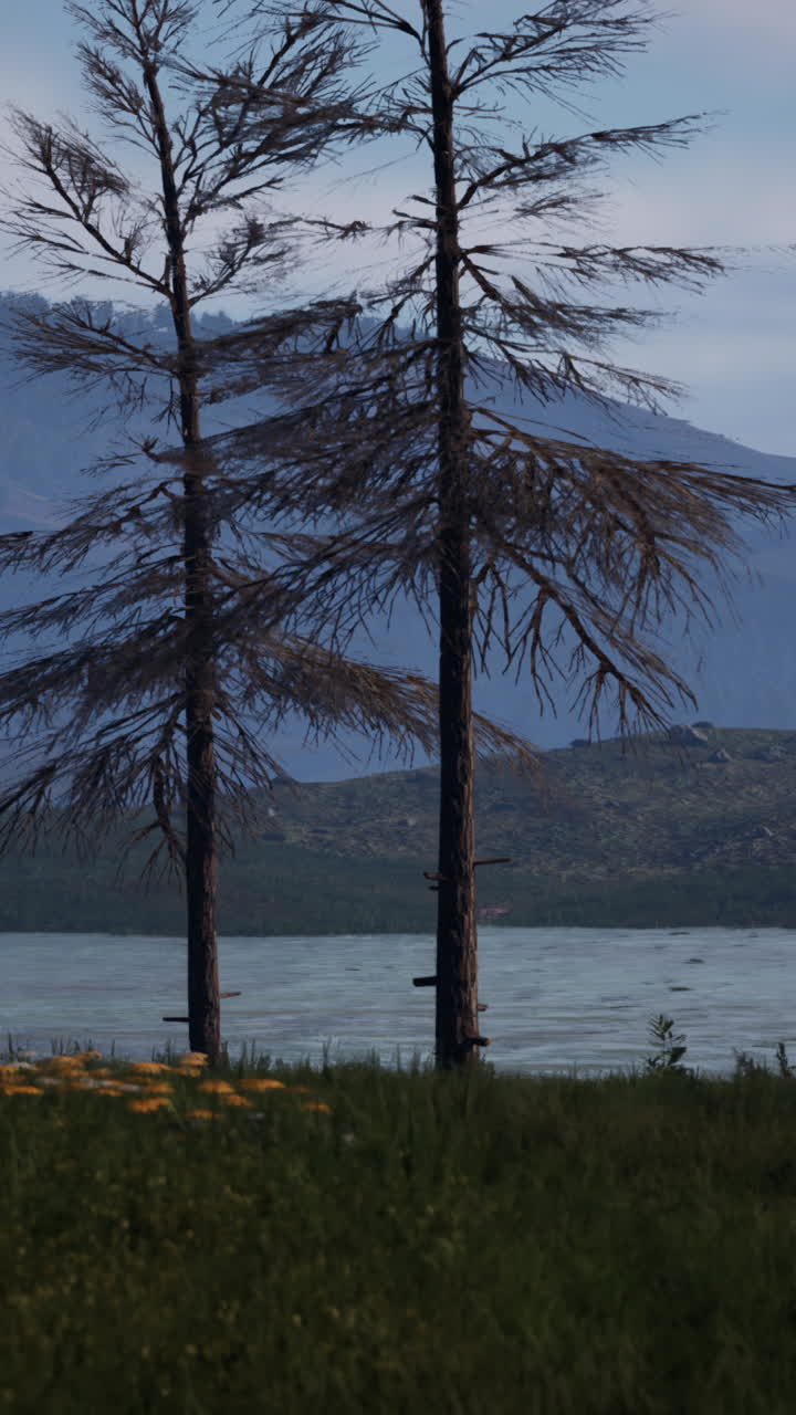 paisaje sereno del lago con árboles muertos y montañas