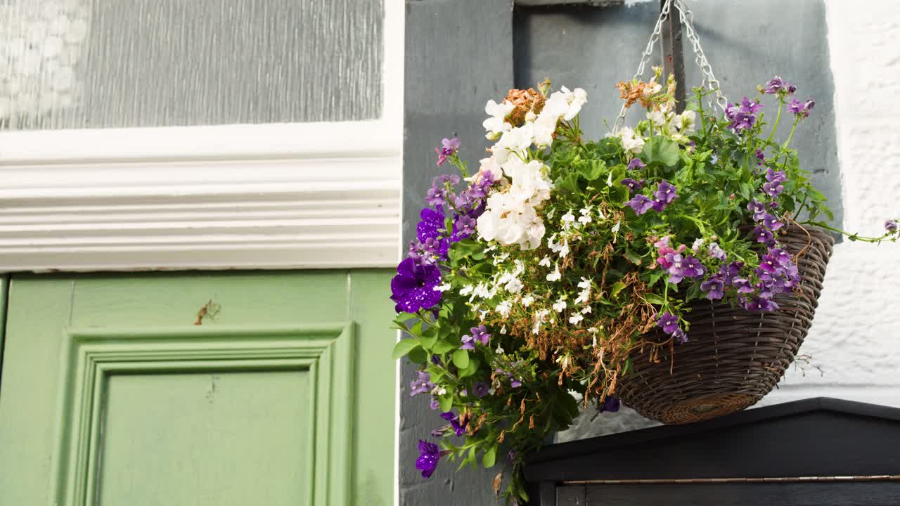 Colorful hanging basket gently sways outside green cottage door in soft natural daylight