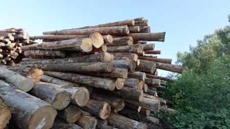 Rotating-shot-of-stacked-tree-lumber-at-a-logging-site-in-Oregon,-United-States