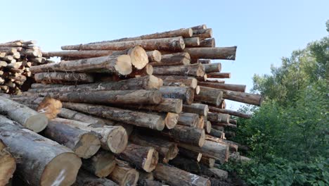 Rotating shot of stacked tree lumber at a logging site in Oregon, United States