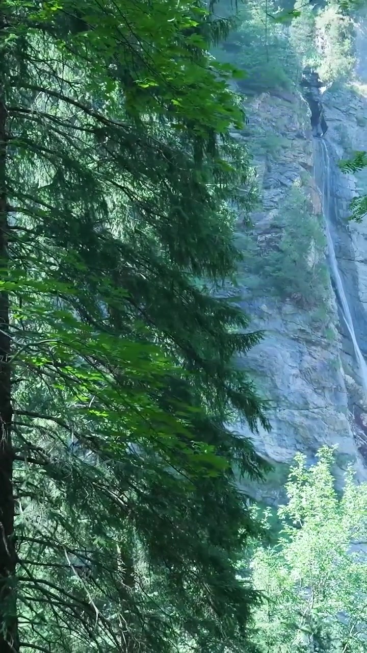 Alta cascata che scende da una scogliera rocciosa in una foresta lussureggiante