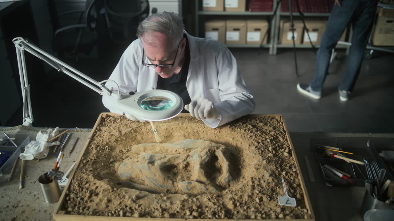 палеонтолог исследует окаменелость