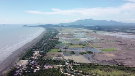 Vuela-Sobre-Los-Arrozales-De-Kuala-Muda,-Cerca-Del-Mar.