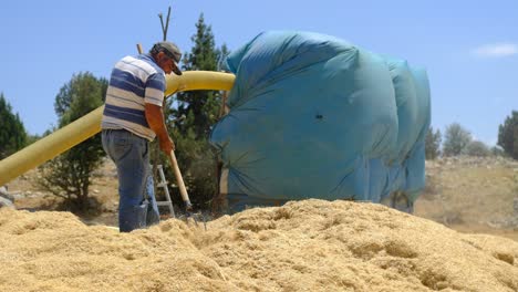 Hay-sprayer-adult-man