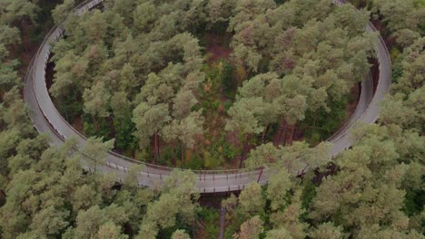 reveal shot of fietsen door de bomen cycling path during day time, aerial