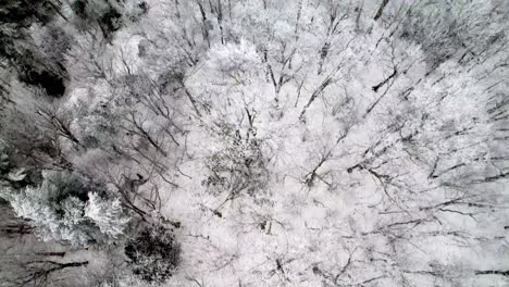 Hielo-De-Escarcha-En-Los-árboles-Aéreos-Cerca-De-Boone-Y-Roca-Que-Sopla-Nc,-Carolina-Del-Norte,-Escena-Espeluznante-De-Soledad-Y-Belleza-Natural