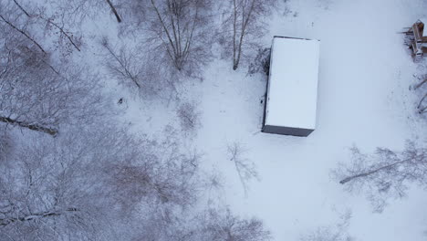 single modern bungalow nestled between trees in winter season - aerial top down