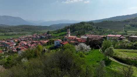 panoramic view of the medieval settlements in vipava town in western slovenia. aerial drone shot
