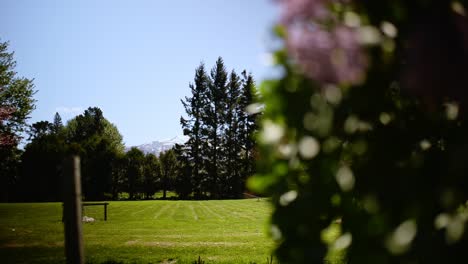 Snow-capped-mountain-in-the-distance-with-bushes-trees-and-paddocks-in-foreground-on-a-sunny,-windy-spring-day-in-Mackenzie,-New-Zealand