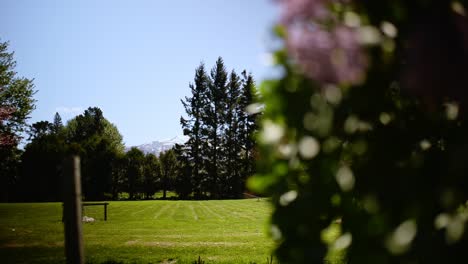 snow capped mountain in the distance with bushes trees and paddocks in foreground on a sunny, windy spring day in mackenzie, new zealand