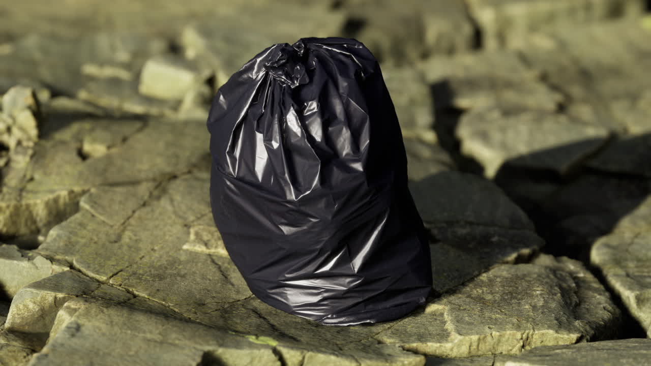 Litter lying on rocky shore during late afternoon sunlight