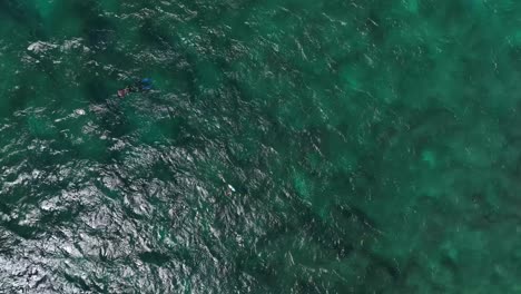 Spearfishing-in-Maui,-Hawaii.--Aerial-birds-eye-view