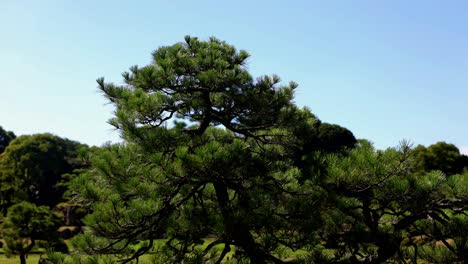 The-beautiful-view-in-Rikugien-Gardens