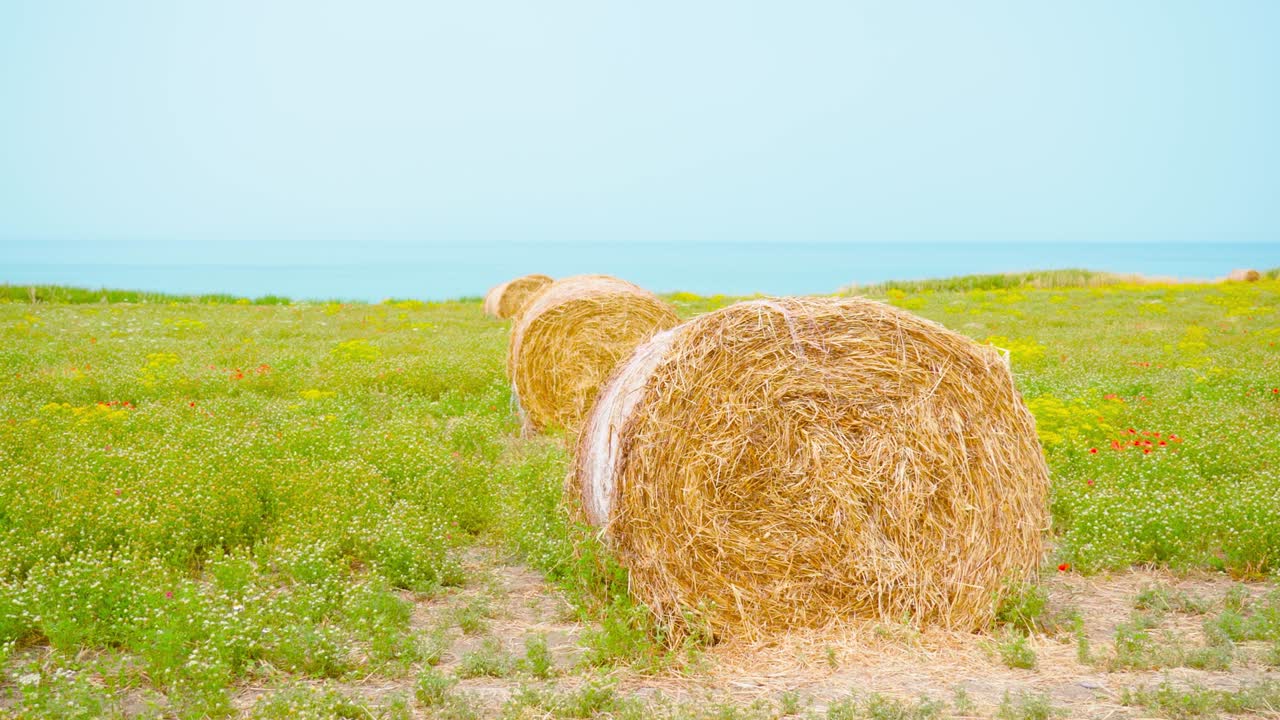 hayacks en el césped verde a la orilla del mar
