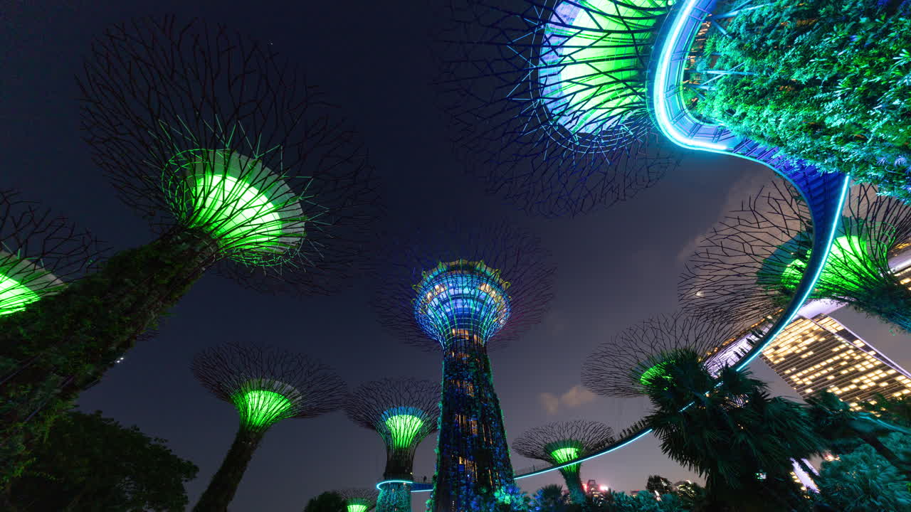 timelapse of the evening illuminated light show in the gardens by the bay in singapore