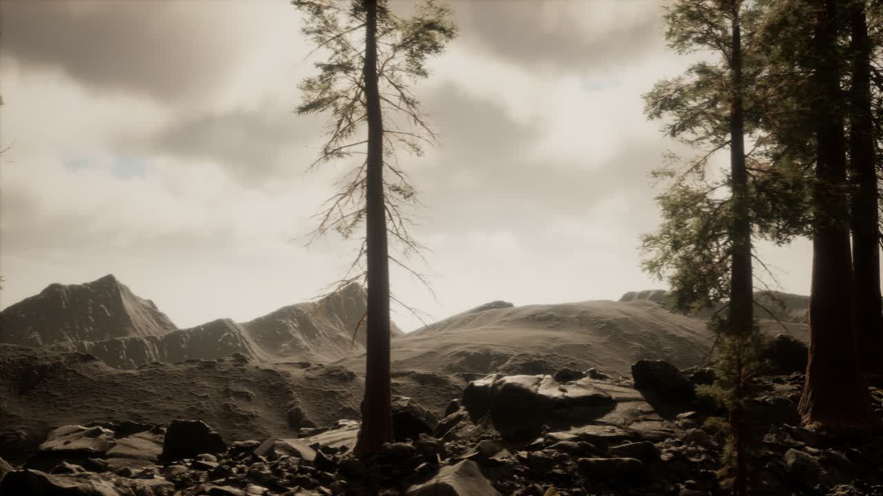 나무 와  ⁇ 빛 이 있는 절벽