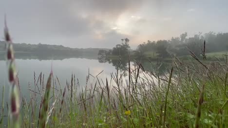 calm lake with overcast sky from meadow at tiger point lonavala in kurvande, india