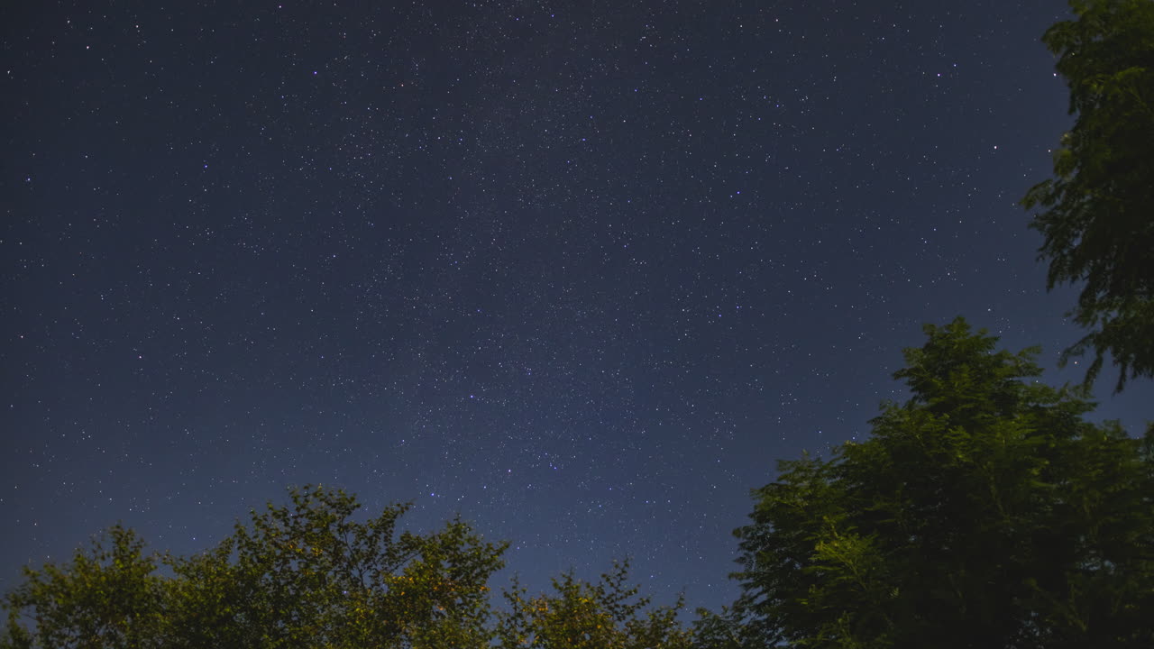 전경에 나무가 있는 별이 빛나는 밤 시간 경과