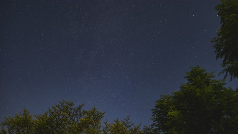 Timelapse-De-La-Noche-Estrellada-Con-árboles-En-Primer-Plano