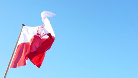 bandera de polonia