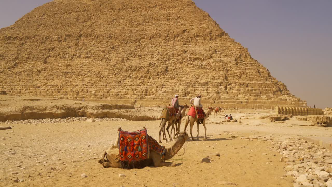 Camelos descansando em frente à Grande Pirâmide de Gizé