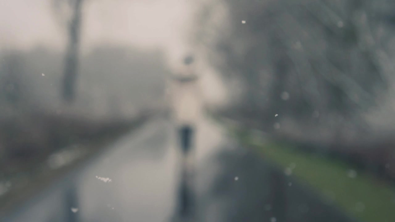 飄雪與小徑上模糊的行人