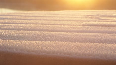 smooth crane showing a frozen surface and the steam that comes out in the early morning sun. in the background a beautiful sunrise