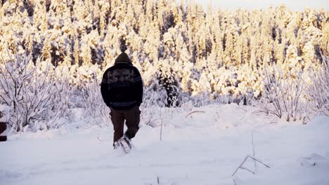 un hombre paseando por un campo cubierto de nieve en indre fosen, condado de trondelag, noruega - toma estática