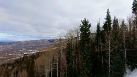 Beautiful-point-of-view-from-a-ski-lift-at-a-ski-resort-in-Colorado-on-an-overcast-winter-day-passing-tall-aspen-and-pine-trees-with-stunning-orange-and-red-desert-colors-in-the-background
