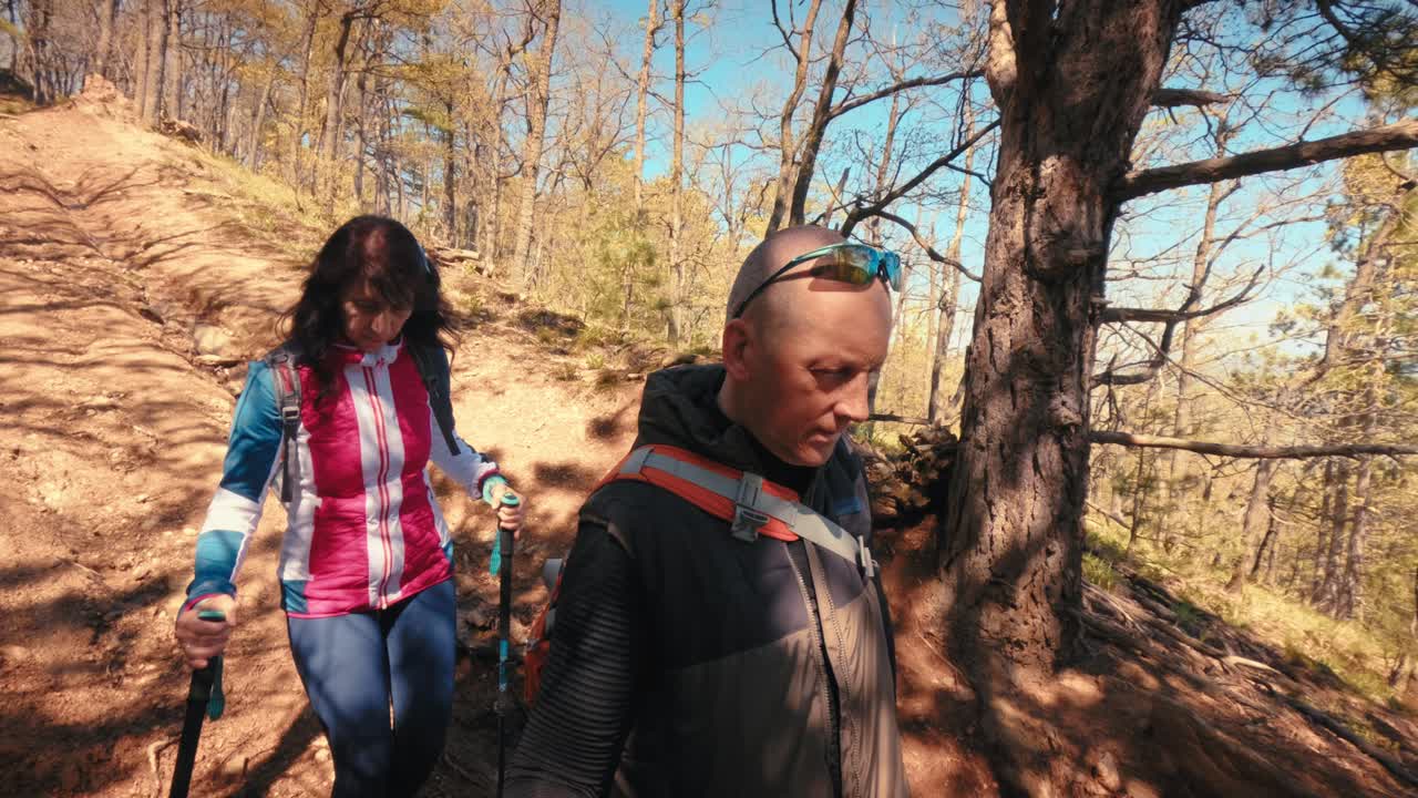 Una coppia matura felice sulla cinquantina si gode un'escursione nel bosco in una soleggiata giornata di primavera. Anziani attivi che fanno trekking con i bastoncini, esplorando la natura e uno stile di vita sano. Filmato 4K di alta qualità